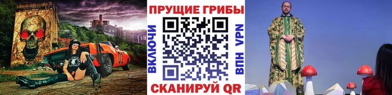 kraken как войти  Щёлково  Галлюциногенные грибы Psilocybe 